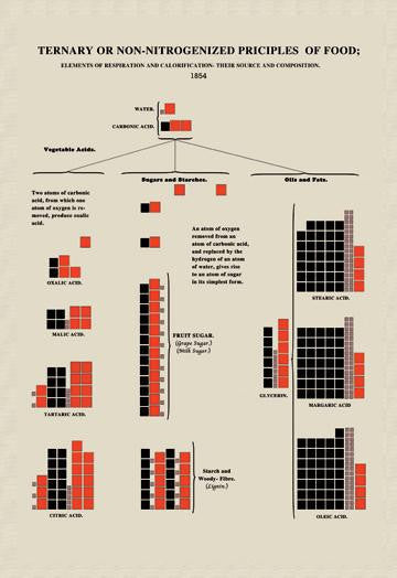 Ternary or Non-Nitrogenized Principles of Food 24x36 Giclee