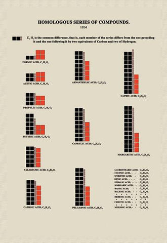 Homolgous Series of Compounds 24x36 Giclee