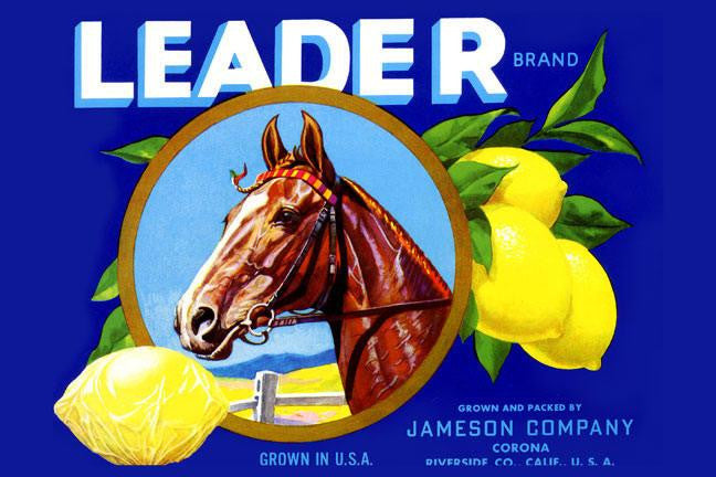 Leader Lemons 24x36 Giclee