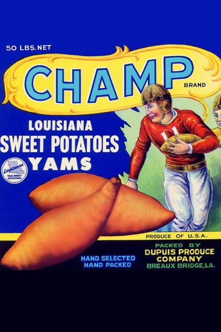 Champ Louisiana Sweet Potatoes 24x36 Giclee