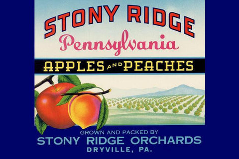 Stony Ridge Pennsylvania Apples and Peaches 24x36 Giclee