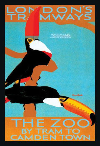 The London Zoo: South American Toucans 28x42 Giclee on Canvas