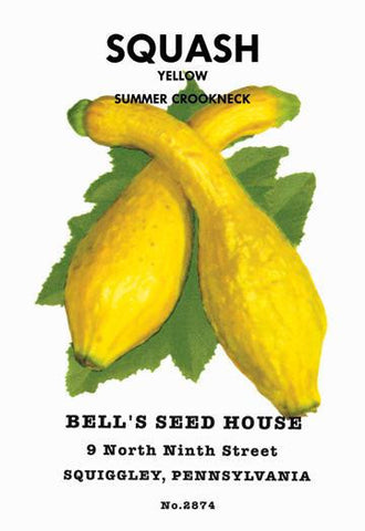 Squash: Yellow Summer Crookneck 28x42 Giclee on Canvas