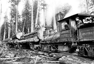 Logging Train 28x42 Giclee on Canvas