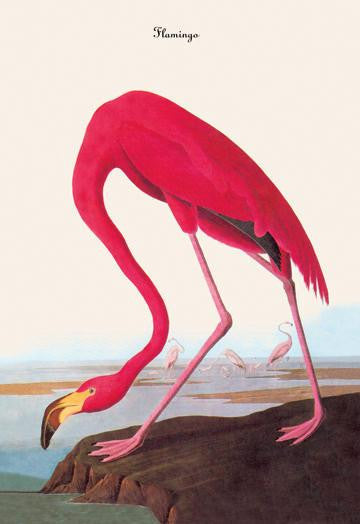 Flamingo 28x42 Giclee on Canvas