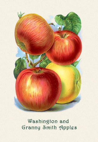 Washington and Granny Smith Apples 28x42 Giclee on Canvas