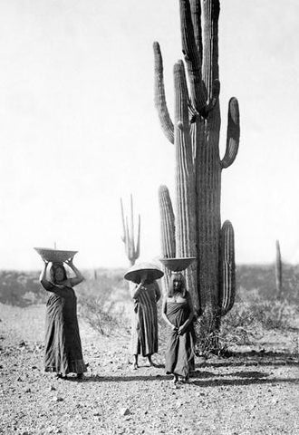 Saguaro Gatherers 28x42 Giclee on Canvas