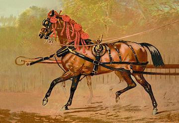 State Carriage Horse 28x42 Giclee on Canvas