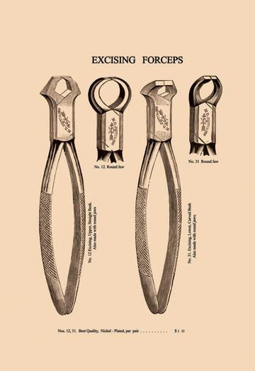 Excising Forceps 28x42 Giclee on Canvas