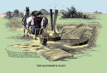 The McCormick Daisy 28x42 Giclee on Canvas