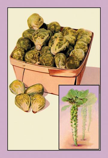 Brussel Sprouts 28x42 Giclee on Canvas