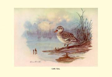 Cape Teal 28x42 Giclee on Canvas