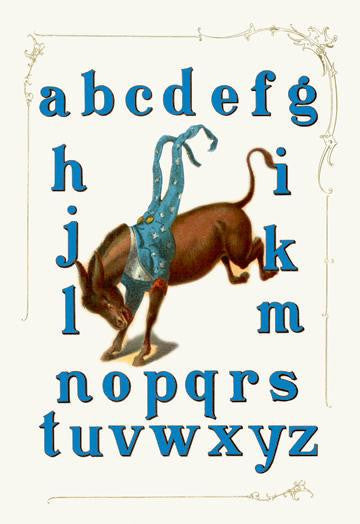 Democratic Party Alphabet 28x42 Giclee on Canvas