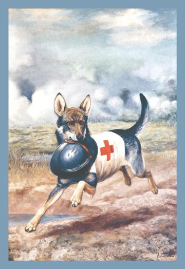 Red Cross Dog 28x42 Giclee on Canvas