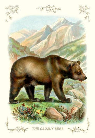 The Grizzly Bear 28x42 Giclee on Canvas