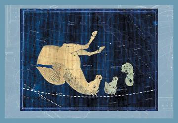 Delphinus  Equuleus and Pegassus #1 28x42 Giclee on Canvas