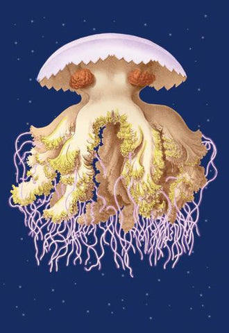 Astro-Jellyfish 28x42 Giclee on Canvas