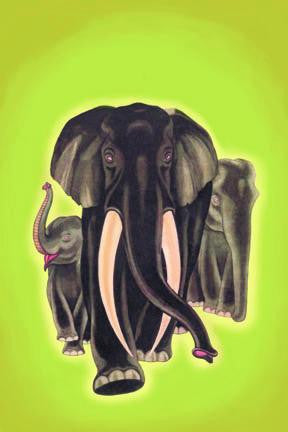 Indian Elephants 28x42 Giclee on Canvas