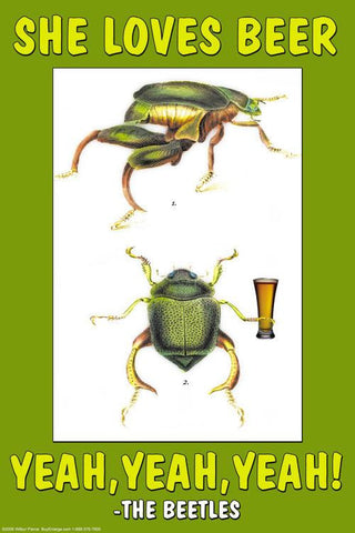 She Loves Beer  yeah  yeah  yeah - The Beetles 28x42 Giclee on Canvas