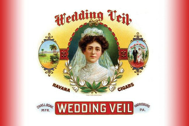 Wedding Veil 28x42 Giclee on Canvas