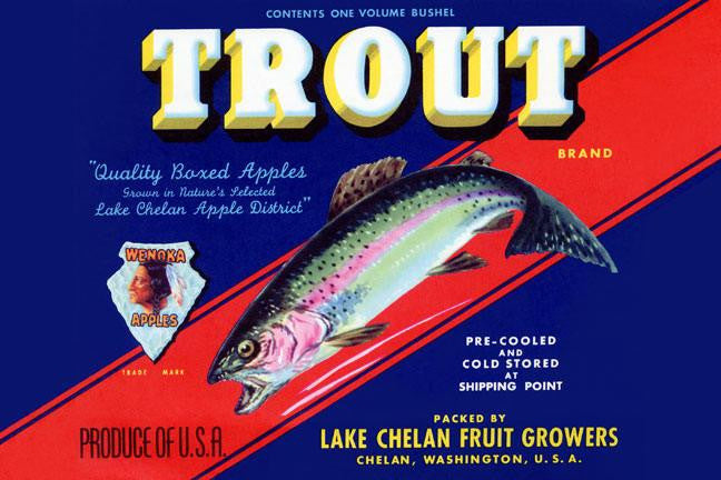 Trout Brand Apples 28x42 Giclee on Canvas