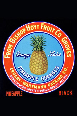 Orange Lake Pineapple Oranges 28x42 Giclee on Canvas