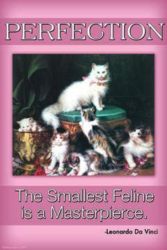 Perfection; The Smallest Feline is a Masterpiece 28x42 Giclee on Canvas