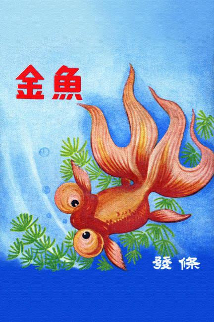 Fancy Bubble Eye Goldfish 28x42 Giclee on Canvas