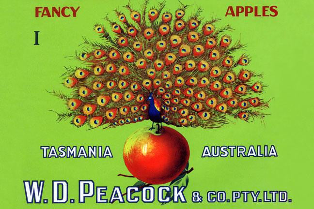 W.D. Peacock Fancy Apples 28x42 Giclee on Canvas