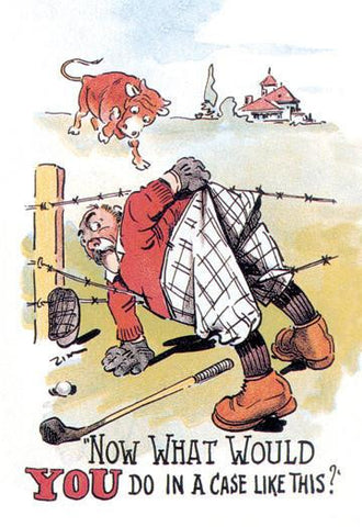 Now What Would You Do in a Case Like this? 12x18 Giclee on canvas