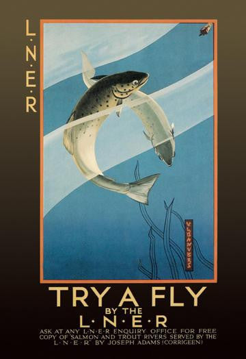 Try a Fly 12x18 Giclee on canvas