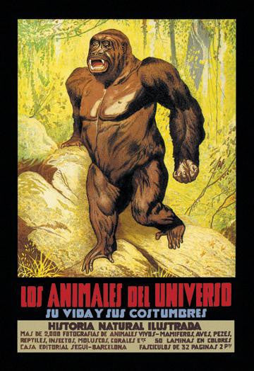 Los Animales del Universo 12x18 Giclee on canvas