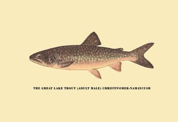 The Great Lake Trout 12x18 Giclee on canvas