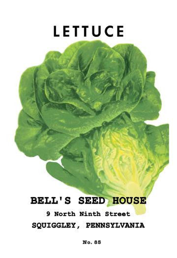 Lettuce 12x18 Giclee on canvas