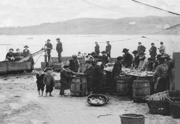 Donegal Fish  Ireland 12x18 Giclee on canvas