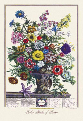 Twelve Months of Flowers 12x18 Giclee on canvas