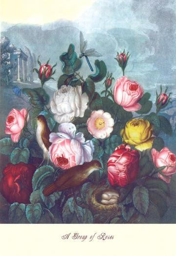 Roses - Temple of Flora 12x18 Giclee on canvas