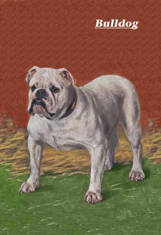 White Bulldog 12x18 Giclee on canvas