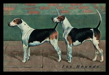 Two Fox Hounds 12x18 Giclee on canvas