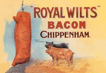 Royal Wilts Bacon 12x18 Giclee on canvas