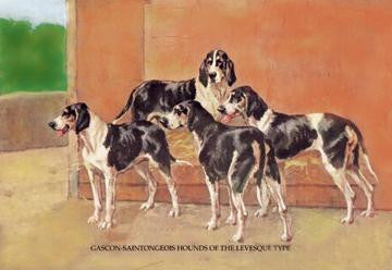 Gascon-Saintongeois Hounds of the Levesque Type 12x18 Giclee on canvas