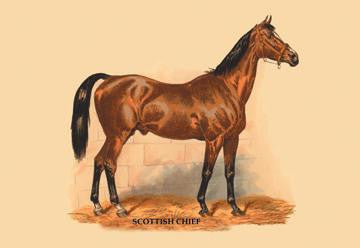 Scottish Chief 12x18 Giclee on canvas