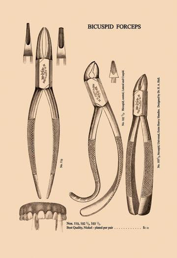 Bicuspid Forceps 12x18 Giclee on canvas