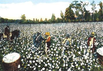 Workers in Cotton Field 12x18 Giclee on canvas