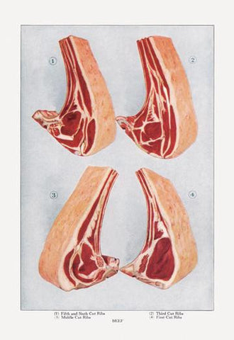 Beef: Ribs 12x18 Giclee on canvas