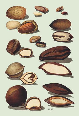 Nuts #2 12x18 Giclee on canvas