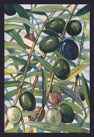 Olives 12x18 Giclee on canvas