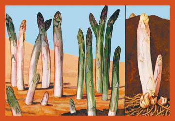 White and Green Asparagus 12x18 Giclee on canvas