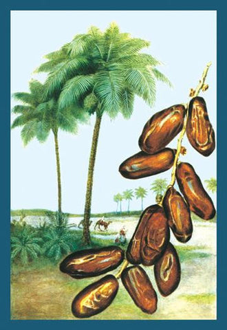 Dates 12x18 Giclee on canvas