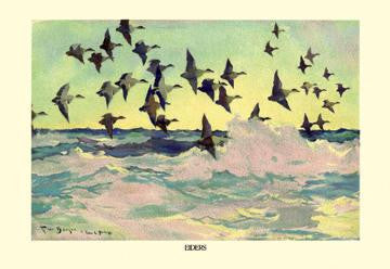 Eiders 12x18 Giclee on canvas